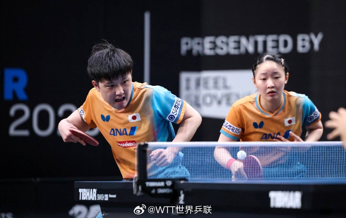 关于德国乒乓球队碾压日本乒乓球队，张本智和高光表现的信息