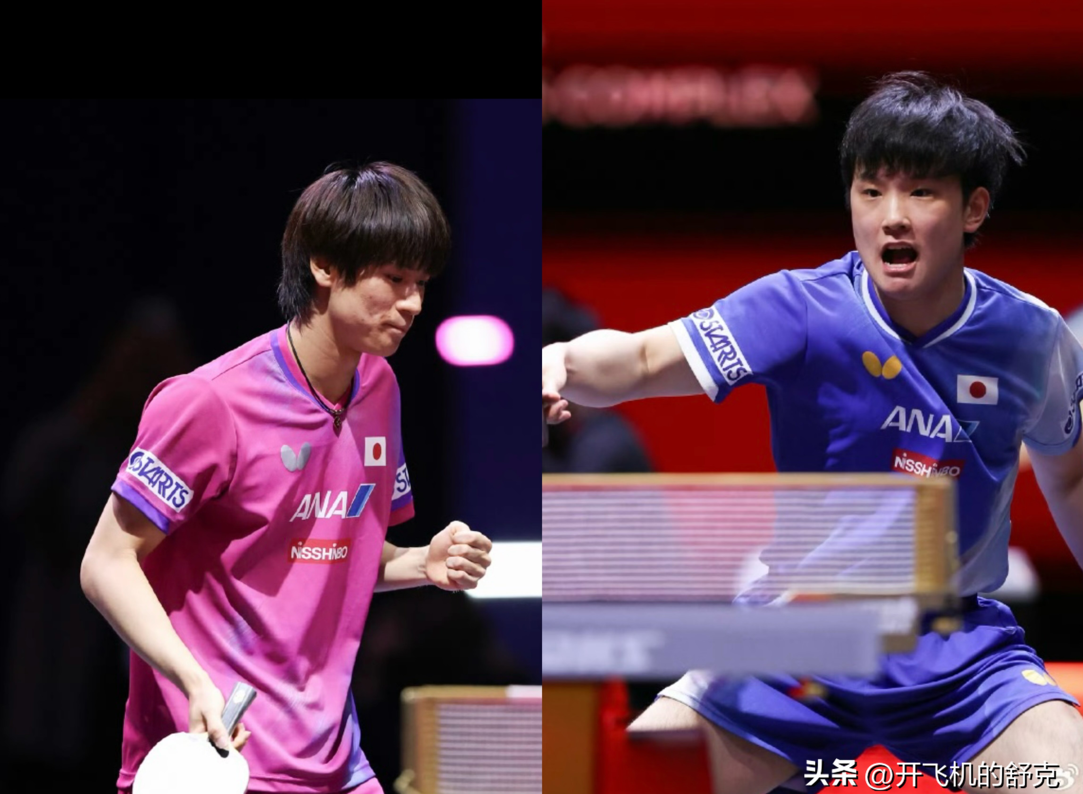 关于德国乒乓球队碾压日本乒乓球队，张本智和高光表现的信息